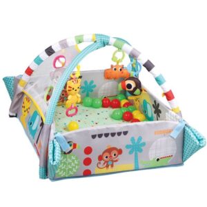 Activity Gym and Ball Pit for Safe and Fun Playtime